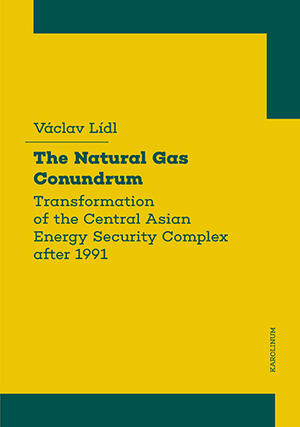 <span>The natural gas conundrum: transformation of the Central Asian energy security complex after 1991</span>
