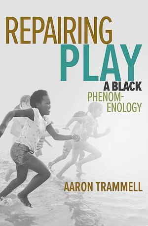 <span>Repairing Play: A Black Phenomenology</span>
